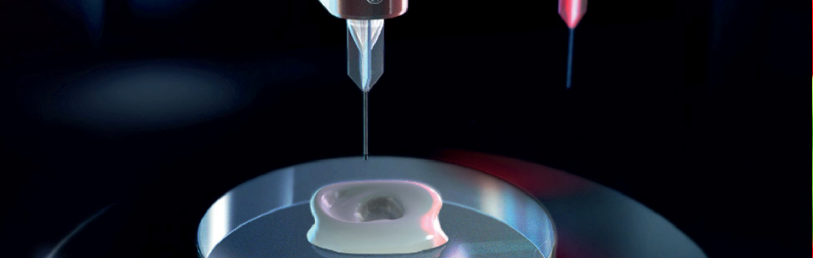 Collplant Develops First Prototypes For Regenerative 3D Bioprinted Breast Implants